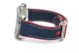 Replica Omega Planet Ocean America's Cup (300102CH)