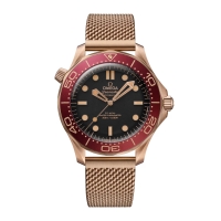 Replica Omega Seamaster Diver 300m (300217CH)