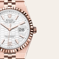 Replica Rolex Oyster Land-Dweller (100605)