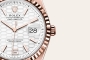 Replica Rolex Oyster Land-Dweller (100605)